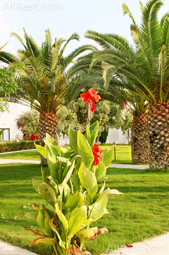Aliathon Holiday Village 16